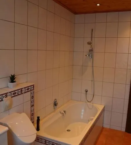 Layer Moselbogen Апартаменты *