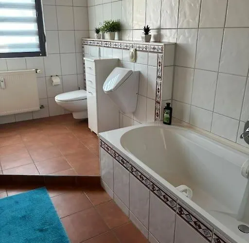 Layer Moselbogen Кобленц